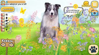 Real Pets: Adopt and Play! - Screenshot 3