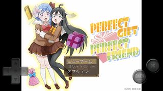 Perfect gift perfect friend - Screenshot 1