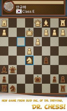 Dr. Chess - Screenshot 1