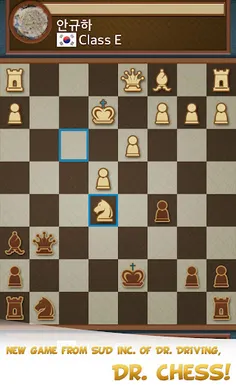 Dr. Chess - Screenshot 1