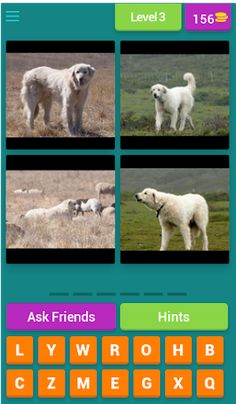 4 Pics 1 Animal - Alphabetical - Screenshot 4