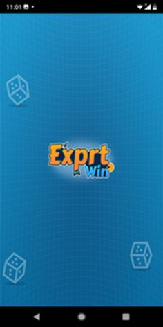 Exprtwin - Screenshot 1