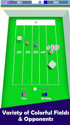 Bowl Master: Lawn 8 Ball pool - Screenshot 3