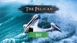 The Pelican - Screenshot 2