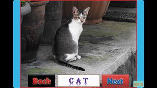 Animal Pictures and Sound - Screenshot 1