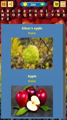 Fruits Quiz - Screenshot 4