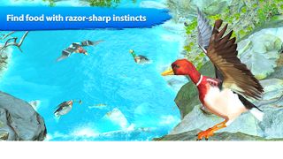 Virtual Duck Pet Bird games - Screenshot 3