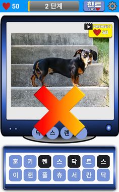 도그퀴즈 - Screenshot 4
