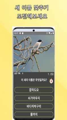 새 이름 맞추기 퀴즈 - Screenshot 2