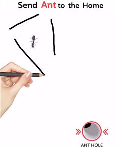 Save the Ant - Screenshot 3