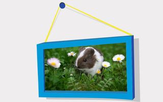 Picture Puzzle: Hamsters - Screenshot 1