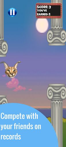 Flappy Floppa - Screenshot 4