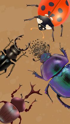 Hyper Evolution DNA Simulator - Screenshot 4