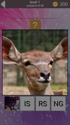 900 words - Screenshot 4