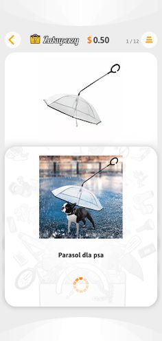 Zakuperzy - zgadnij co to? - Screenshot 3