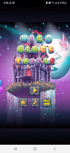 Wild Block Puzzle - Screenshot 2