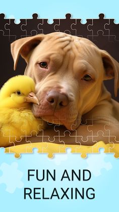 Pitbull Dogs Jigsaw Puzzles - Screenshot 4