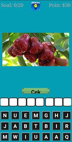 Tebak Gambar Buah - Screenshot 1