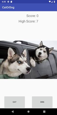 Cat or Dog Game - Screenshot 2