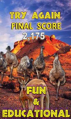 Animals Quiz Wild Creatures - Screenshot 4