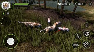 Wild Tiger Hunting Animal Life - Screenshot 1