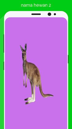 tebak nama hewan dan binatang - Screenshot 1