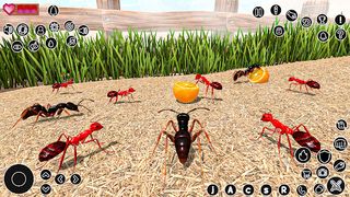 Insect Simulator Ants Life - Screenshot 1