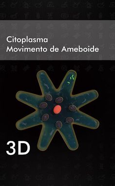 Biologia RA - Screenshot 4