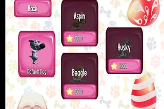 PetVet : Cats and Dogs - Screenshot 1