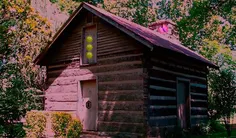 Jungle House Escape - Screenshot 4