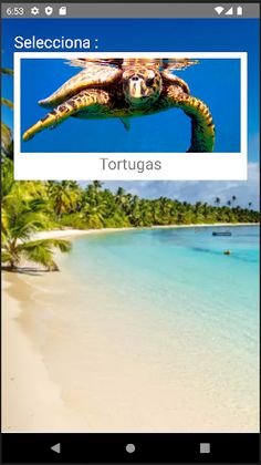 Rompecabezas de Tortugas - Screenshot 1