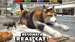 Ultimate Cat Simulator - Screenshot 2