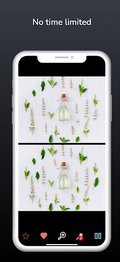 Find the differences - forever - Screenshot 2