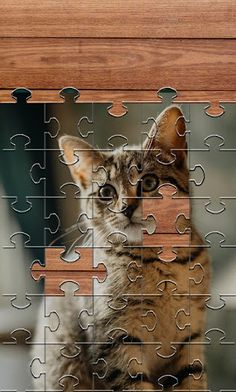 Cats Jigsaw Puzzles Games - Screenshot 4