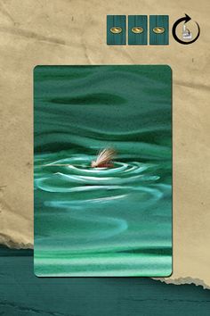 Freshwater Fly Strike - Screenshot 1