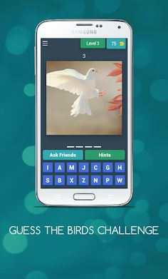 GUESS THE BIRDS CHALLENGE - Screenshot 4