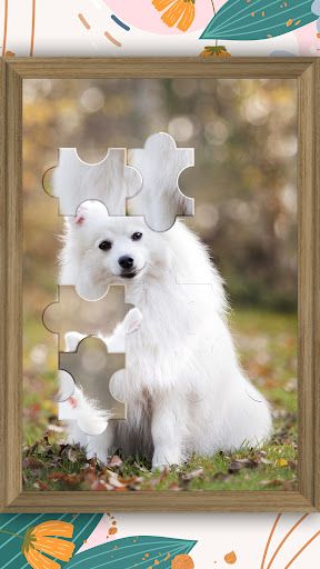 Jigsaw Puzzle - Jigsort Master - Screenshot 2