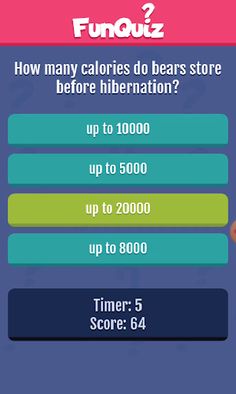 Fun Quiz - Screenshot 2