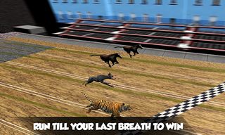 Crazy Real Dog Race: Greyhound - Screenshot 1