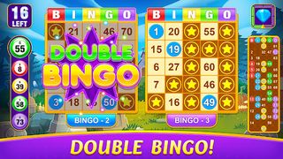 Bingo Alpha - Offline Games - Screenshot 3