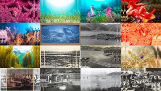 Sustainable sea puzzle - Screenshot 1