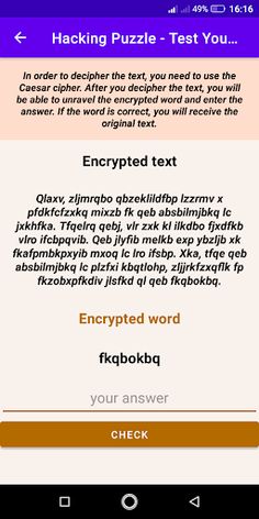 Hacking Puzzle - Screenshot 2