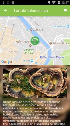 Onddoak - Screenshot 3