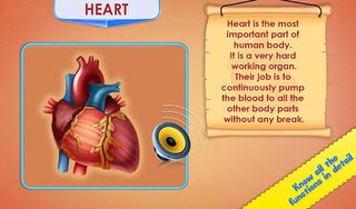 Human Body Parts - Kids Games - Screenshot 3