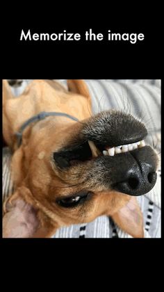 Slide Puzzle Wear - Watch Game - Screenshot 2