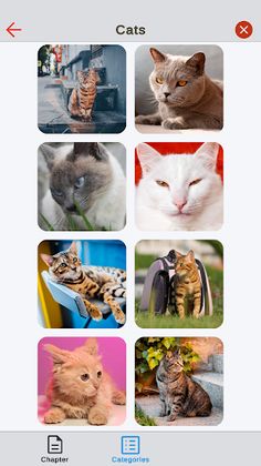 Jigsaw Puzzle -  Messy Pieces - Screenshot 2