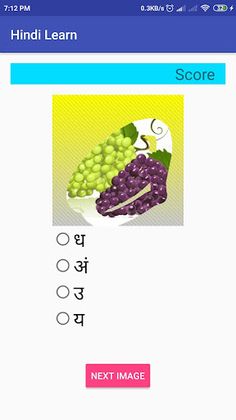Learn Hindi - Screenshot 3