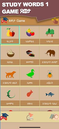 Word Learner ተማሃራይ ቃላት - Screenshot 1