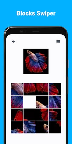 Puzzles - Screenshot 3
