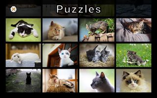 Adorable Cat Puzzles - Screenshot 2